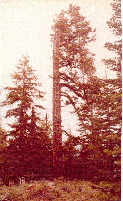 Huckleberrry Mountain Lookout