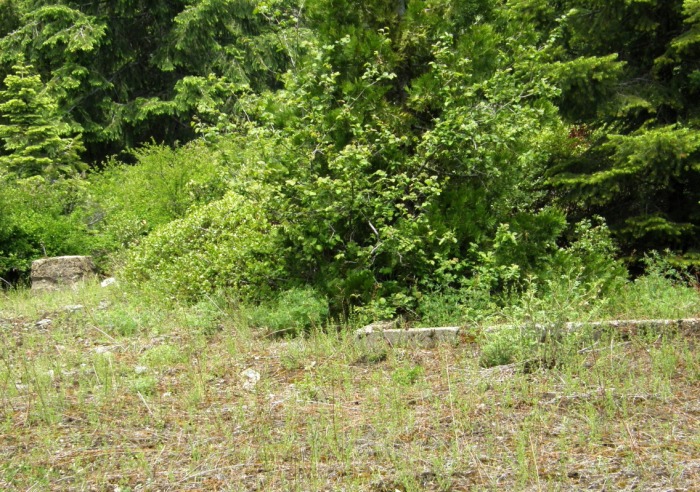 Railroad Gap Lookout site 2007