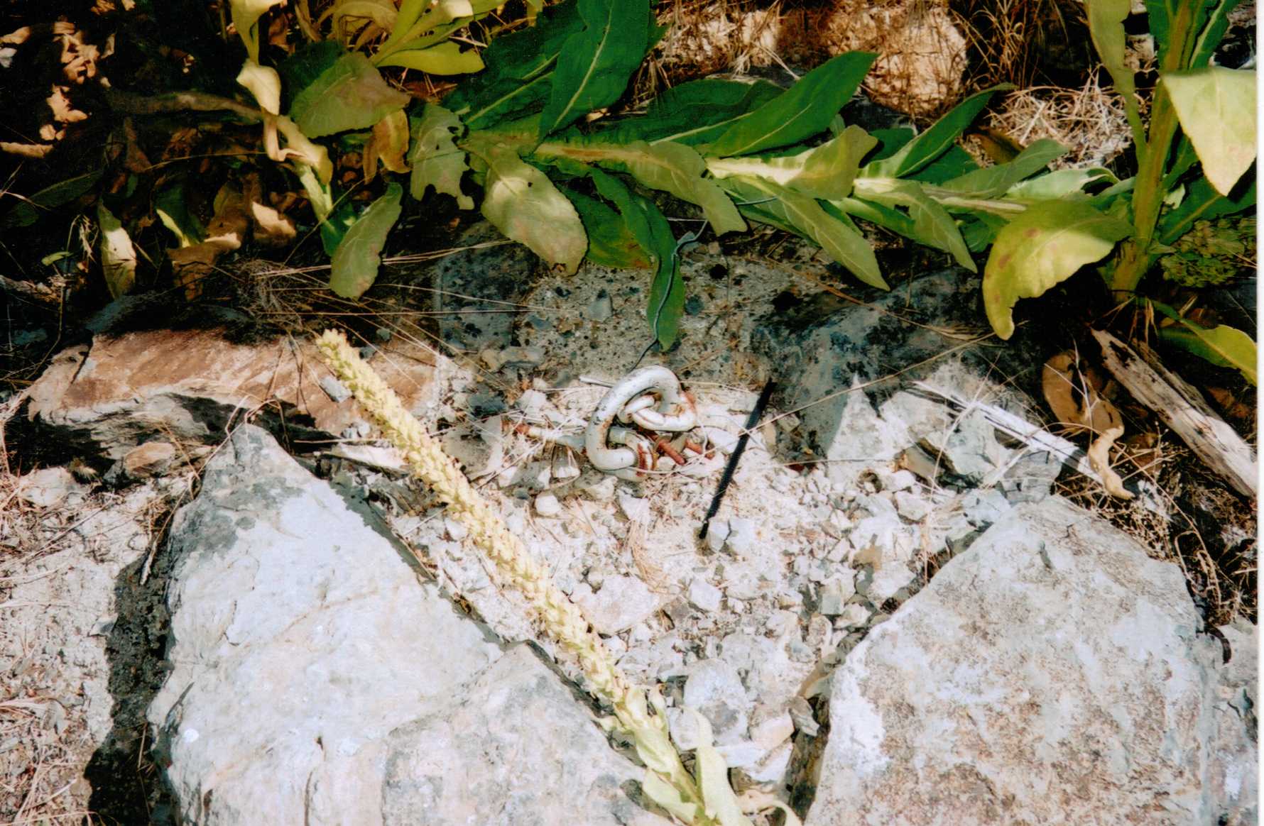 Steve Peak Lookout site 2007