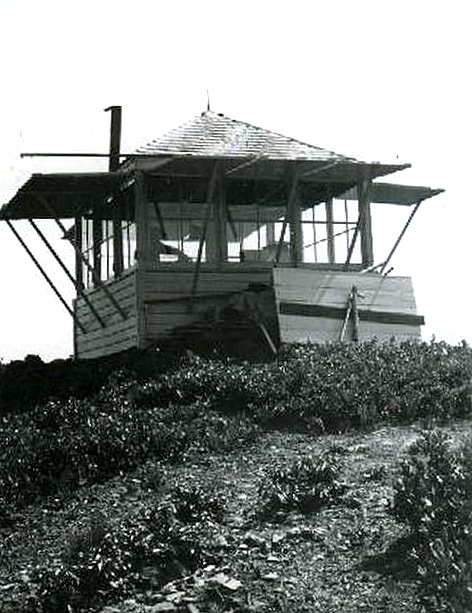 Three Trees Lookout 1944