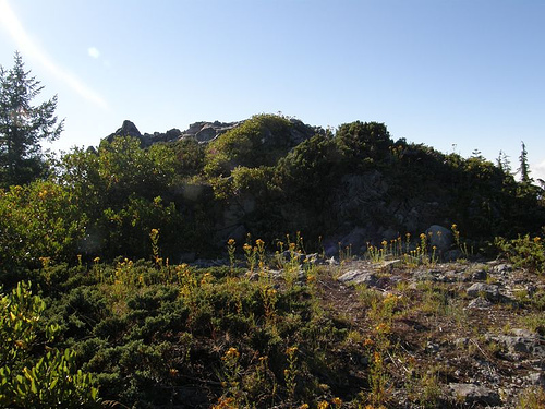 Sardine Butte Lookout site 2007