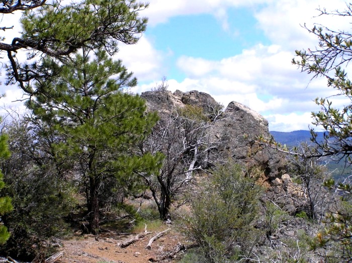 Dairy Point Lookout site 2005