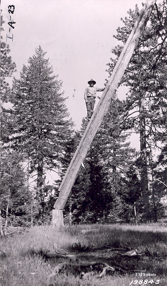 Ingram Point Lookout 
