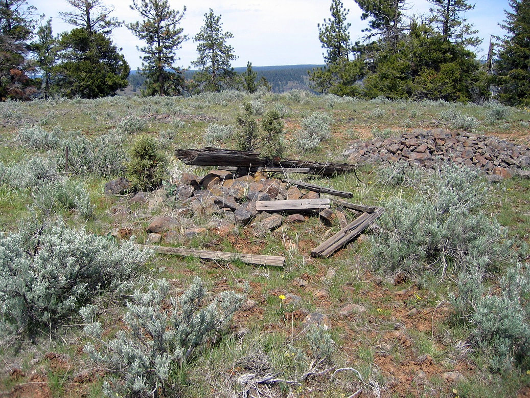 Potamus Point Lookout site 2010