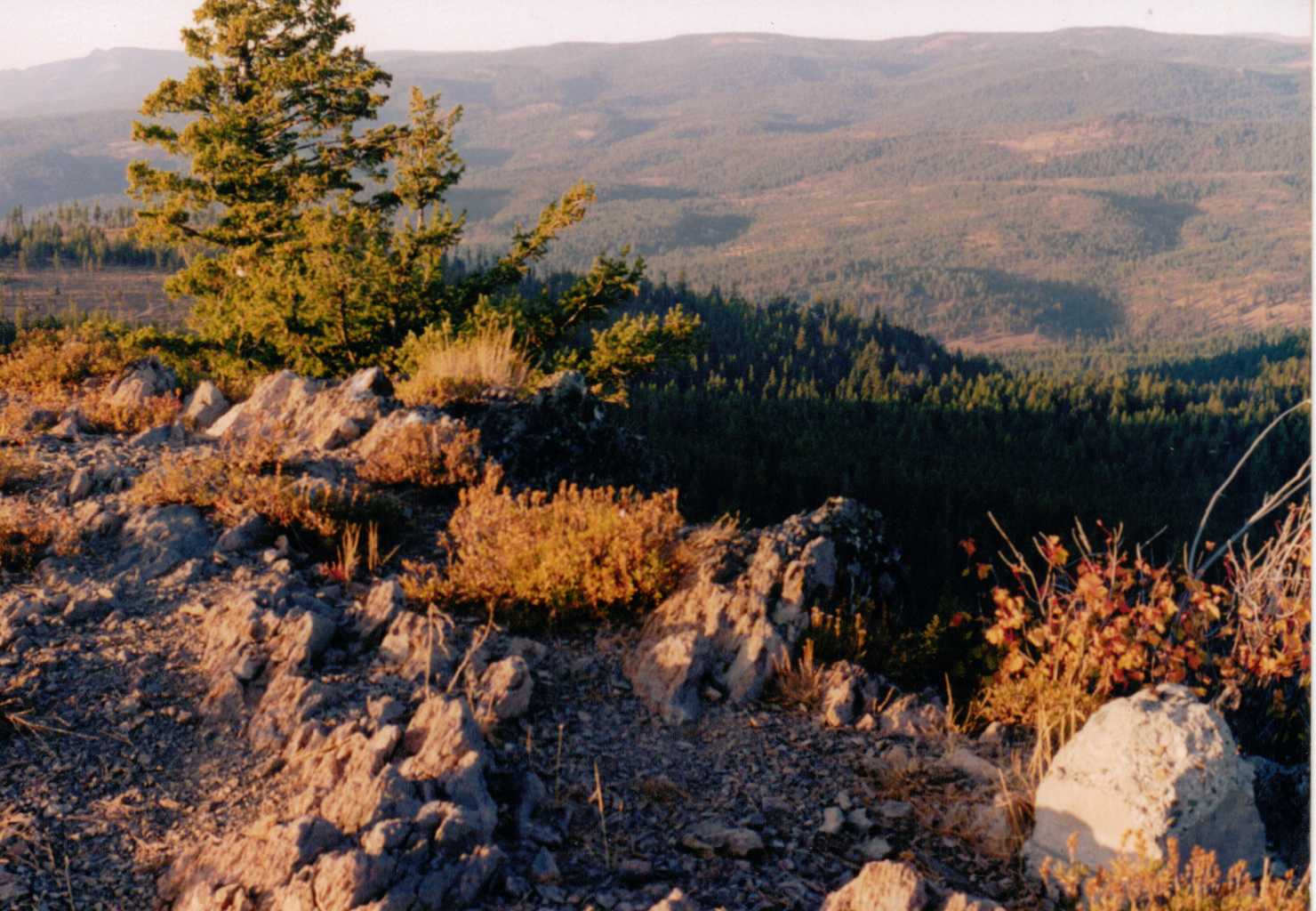 Frazier Mountain Lookout site 1999