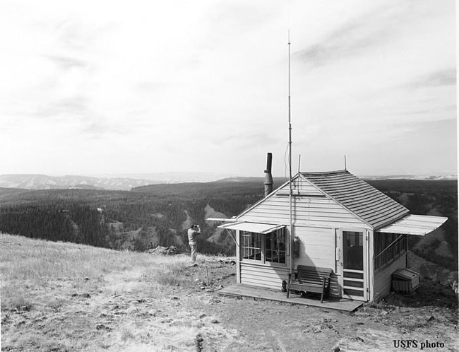 McIntyre Mountain Lookout 1956