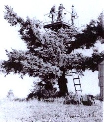 Tire Mountain Lookout 1930