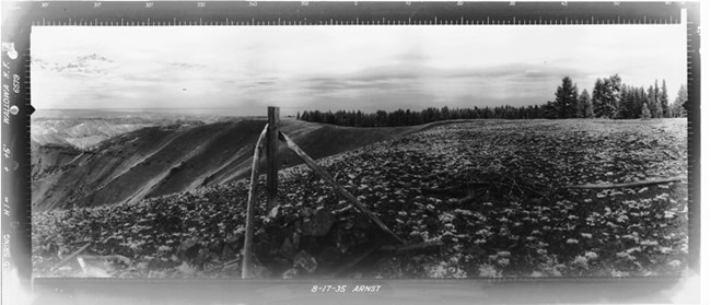 Cold Springs Lookout panoramic 8-17-1935