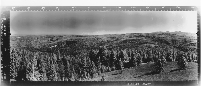 Limber Jim Lookout panoramic 3-30-1935
