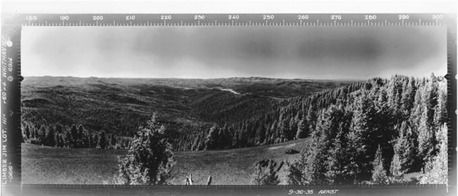 Limber Jim Lookout panoramic 3-30-1935