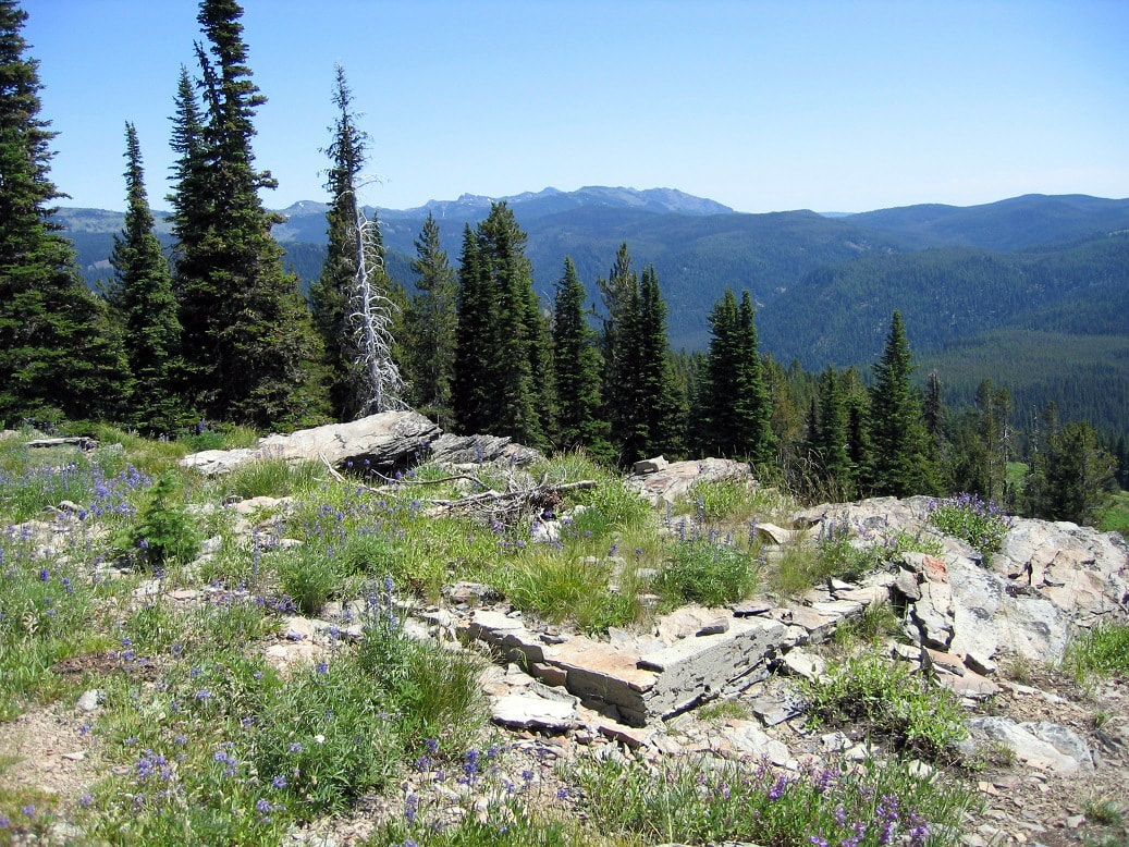 Summit Spring Lookout site 2009