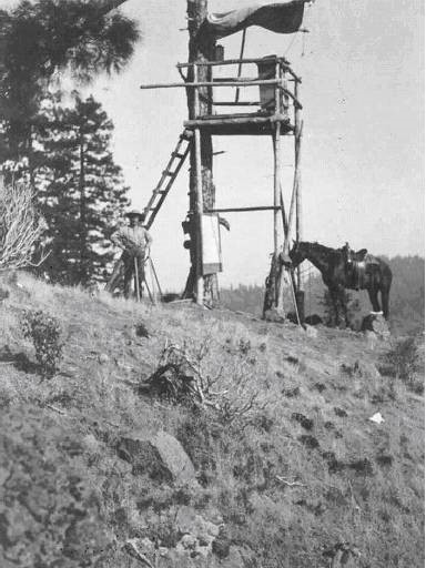 Darby Knob Lookout - 1914