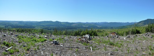 Drake Lookout Site