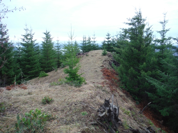 Grisdale Hill Lookout Site