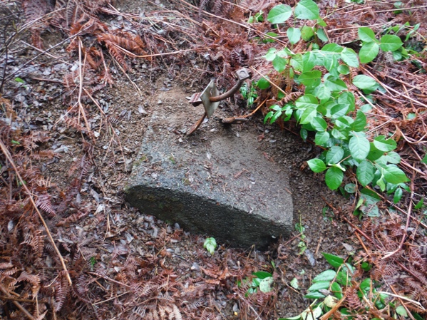 Grisdale Hill Lookout Site