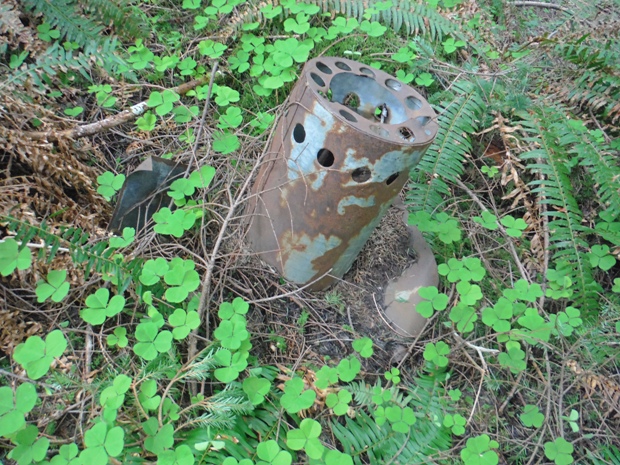 Humptulips Ridge Lookout Site