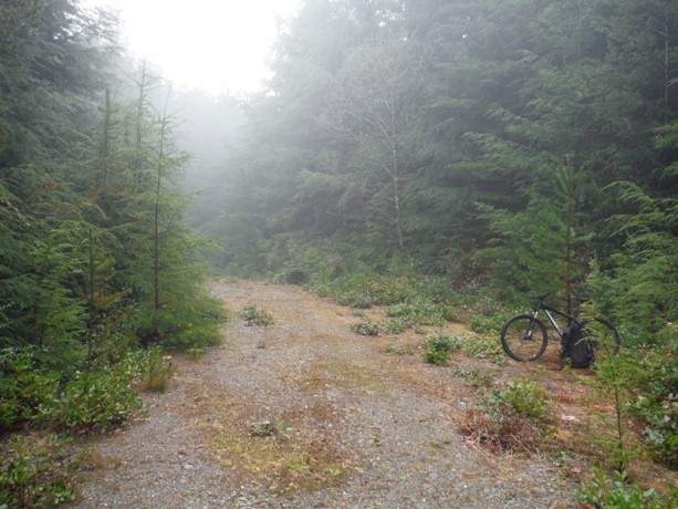 McAfee Hill Lookout Site