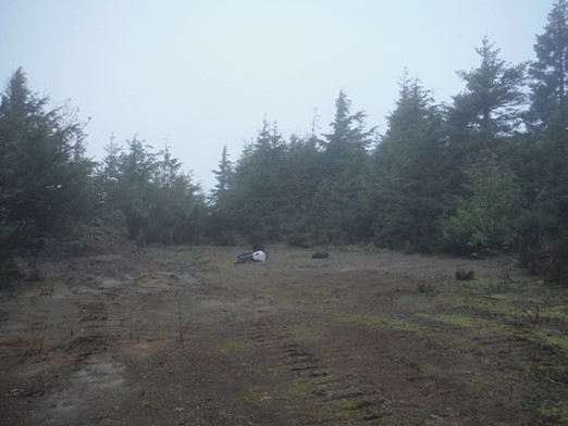 Sekiu Mountain Lookout Site