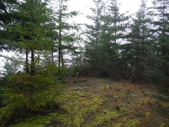 Simpson Lookout Site 2016