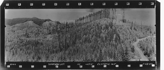 Simpson Lookout panoramic 7-23-37 (N)