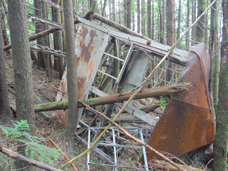 Sooes Mountain Lookout Site