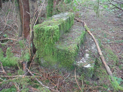 Sooes Mountain Lookout Site