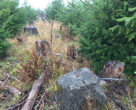 Clearwater Lookout site