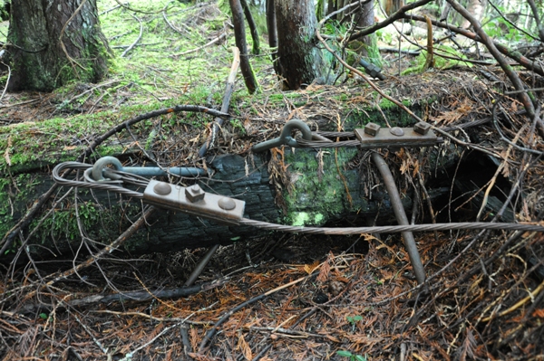 Baker Point Lookout site