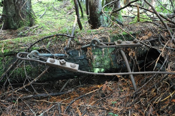 Baker Point Lookout site