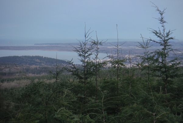 Galbraith Lookout site