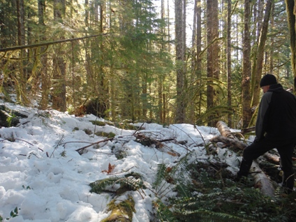 Galena Mountain Lookout site