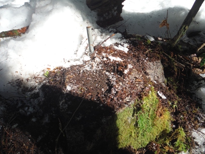 Galena Mountain Lookout site