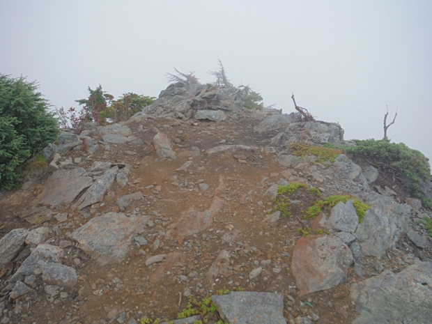 Gee Point Lookout site