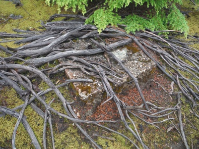 Goat Mountain Lookout site 