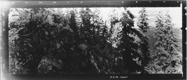 Maloney Ridge Lookout panoramic 8-5-1936 (N)