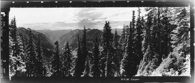 Maloney Ridge Lookout panoramic 8-5-1936 (SW)