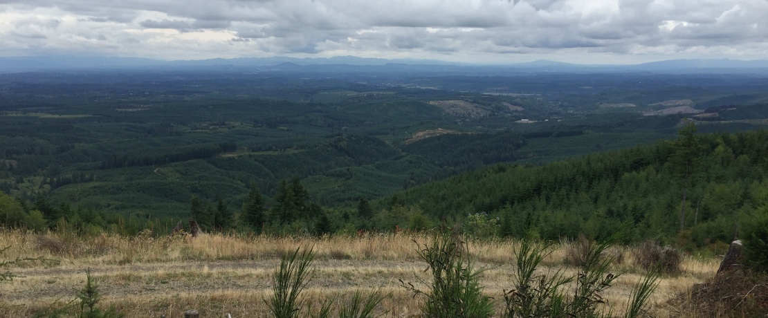 Lucas Creek Lookout site