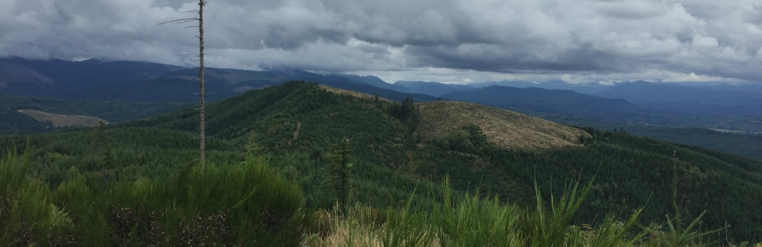 Lucas Creek Lookout site
