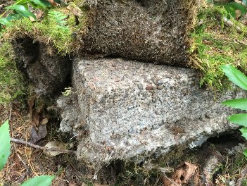 Pleasant Valley Lookout site