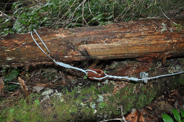 Pleasant Valley Lookout site