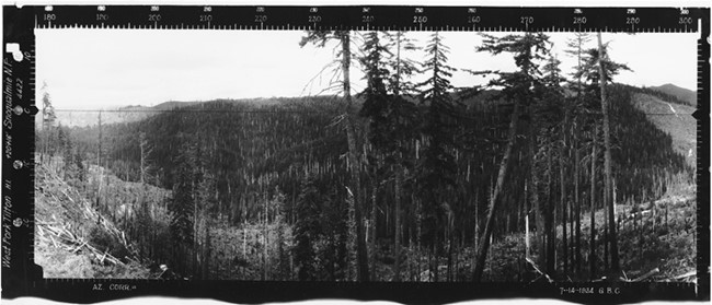 West Fork Tilton Lookout panoramic 7-14-1934 (SW)