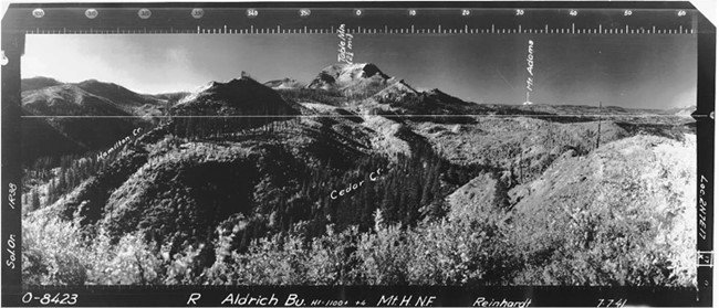 Aldrich Butte Lookout panoramic 7-7-1941 (N)