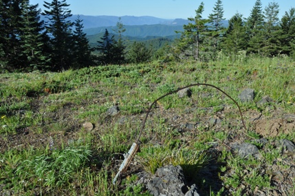 Big Huckleberry Lookout site