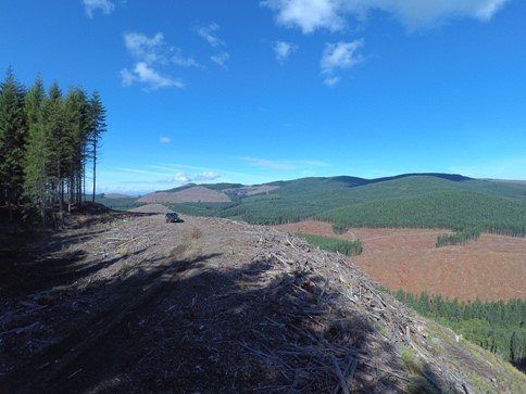 Cascade Creek Lookout site