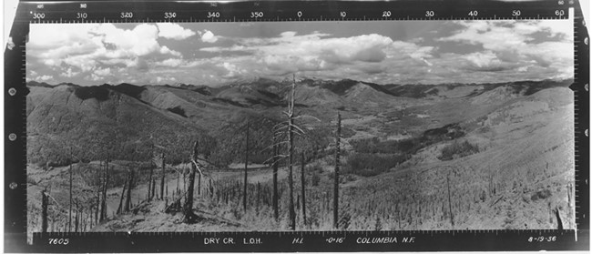 Dry Creek Lookout panoramic 8-19-1936 (N)
