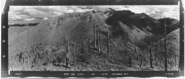 Dry Creek Lookout panoramic 8-19-1936 (SE)