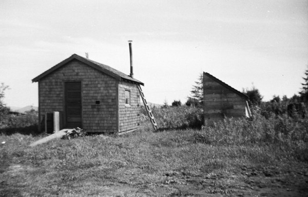 Meridian Mountain Lookout 1950s