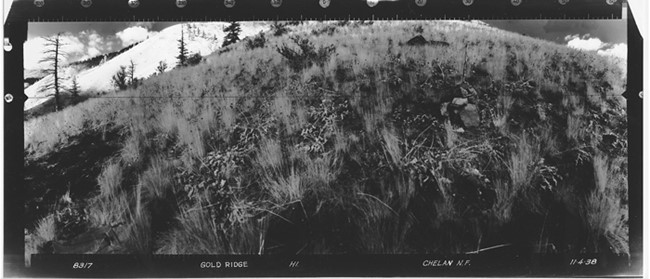 Gold Ridge Lookout panoramic 11-4-1939 (N)