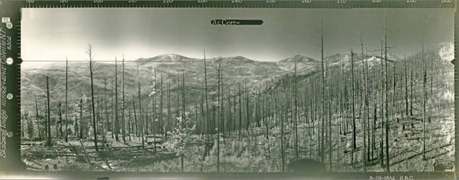 Skalawag Ridge Lookout panoramic 9-29-1934 (SW)