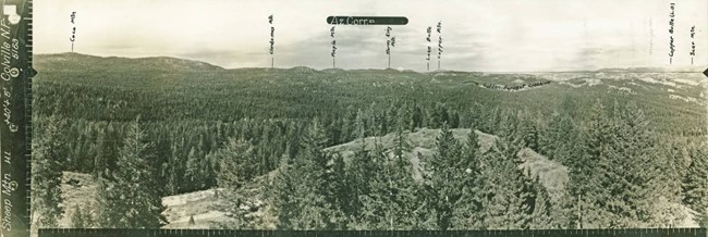 Sheep Mountain Lookout panoramic 8-17-1934 (N)